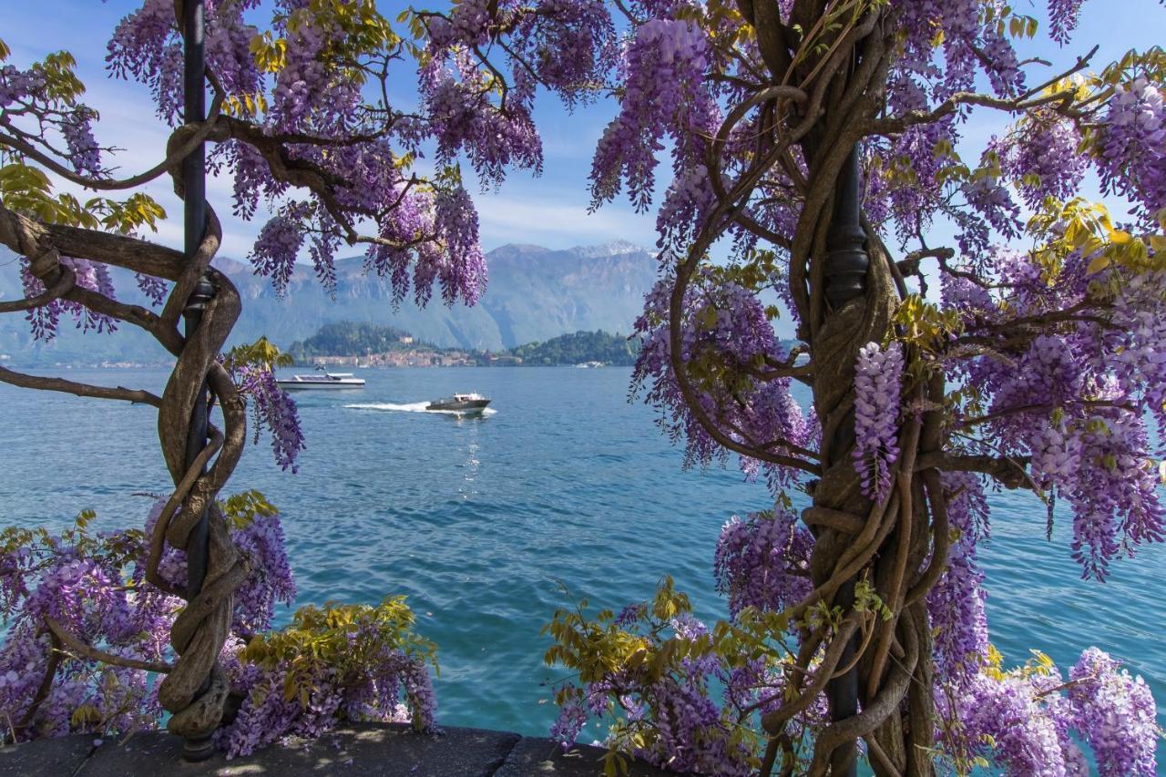 Belmonte Terrazzo Apartment Pianello Del Lario Exterior photo